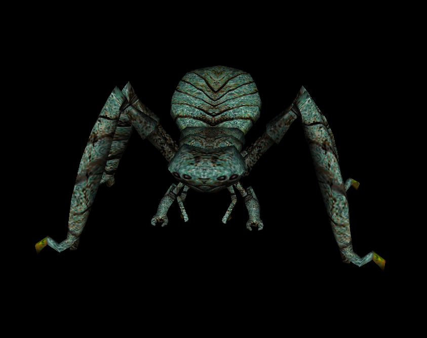 Корта матка Марин